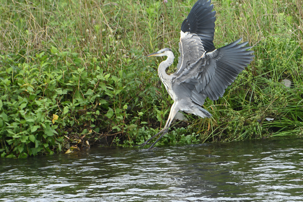 エアーブレーキ