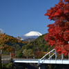 秋のお山