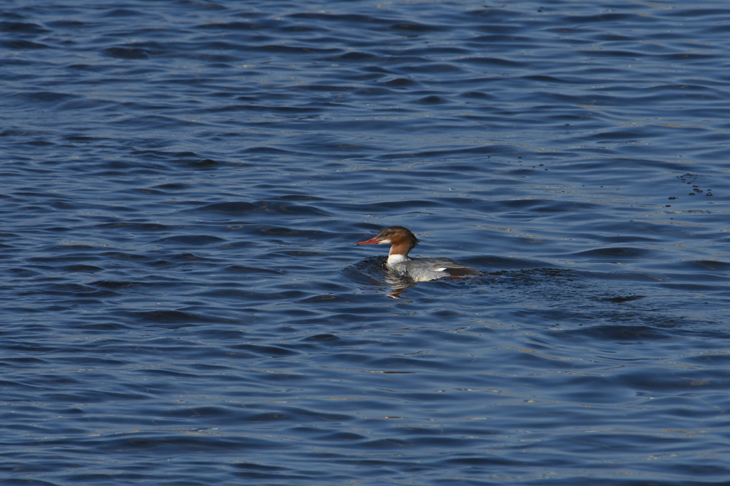 2023川は生きている-18