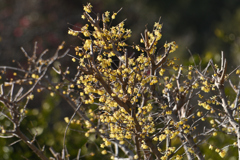 散髪の後の輝き