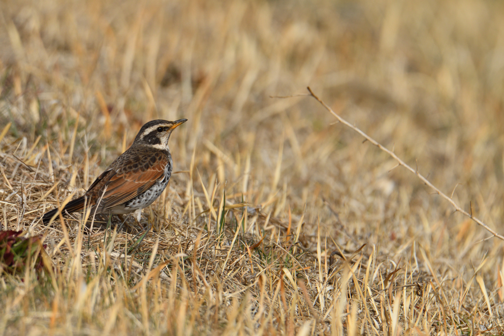 今日を見つめる