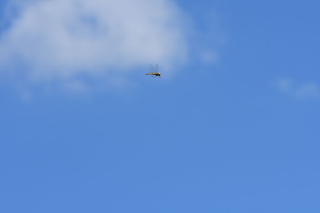 空