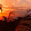 夕焼け