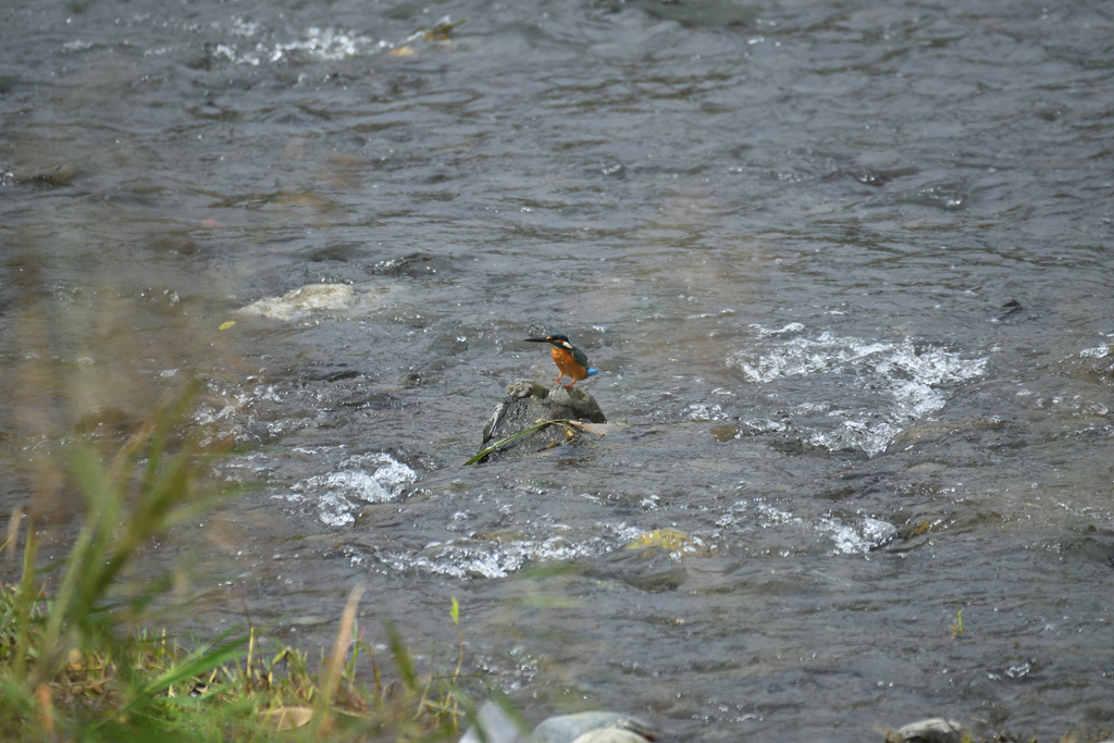 小さなタッチアンドゴー-2
