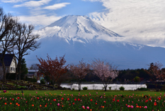 山が見ている