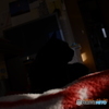 黒猫のような