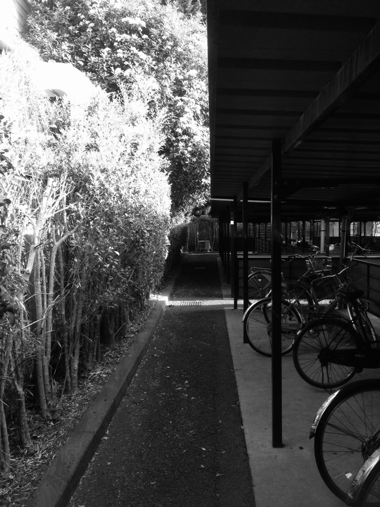 自転車 と 白黒の世界
