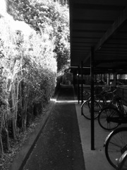 自転車 と 白黒の世界