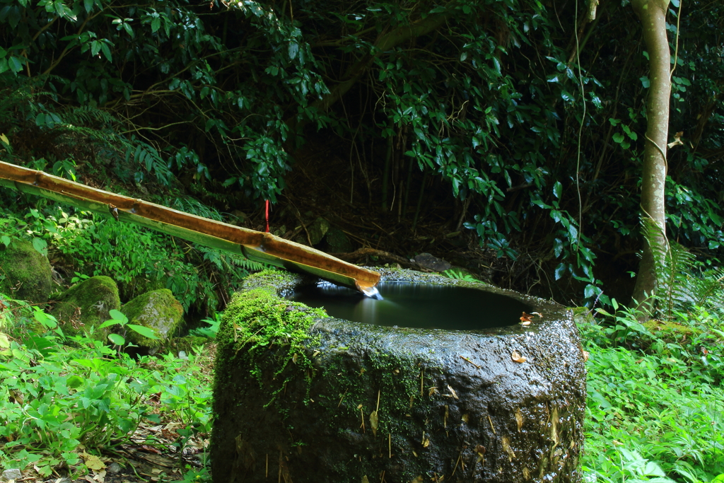 日本の夏！