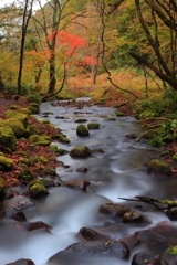 秋の渓流