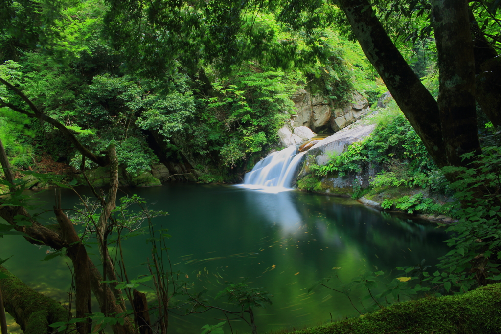流れ