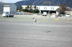 低空