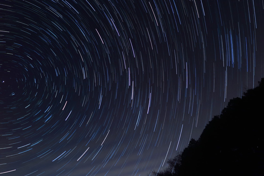 冬空を舞う星たち