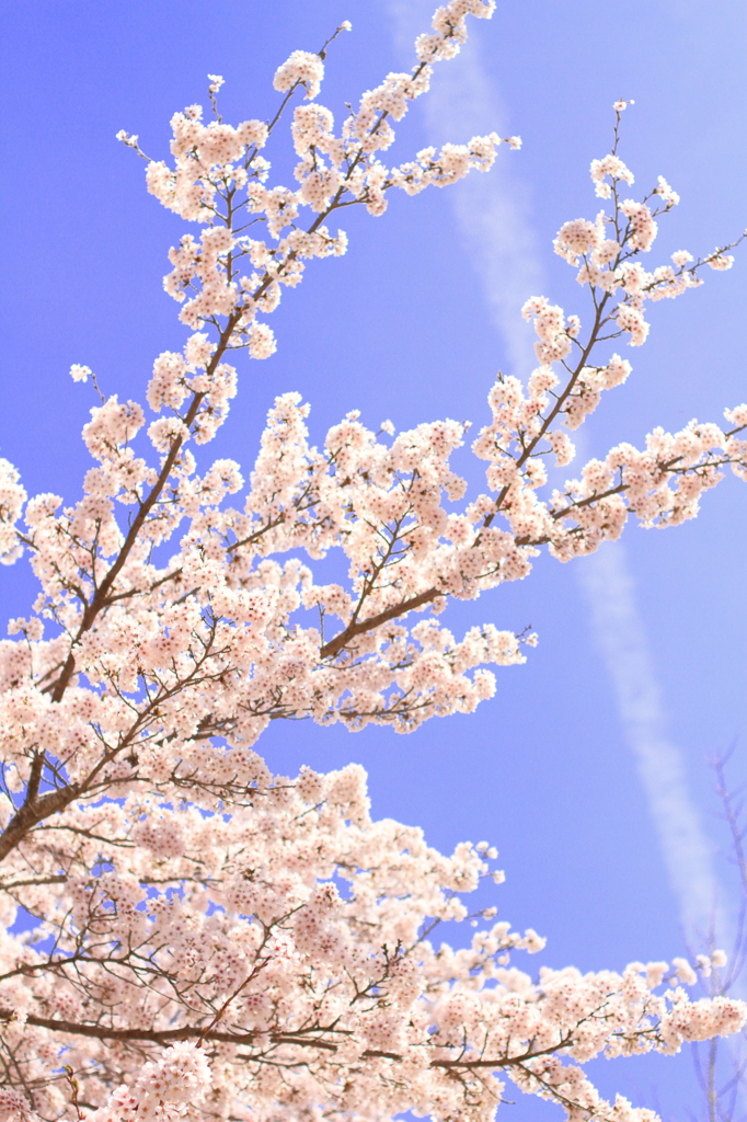 4月9日