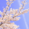 4月9日
