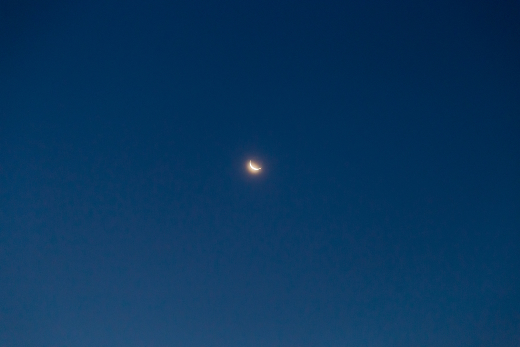 20161226-IMG_8506