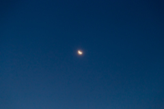 20161226-IMG_8506