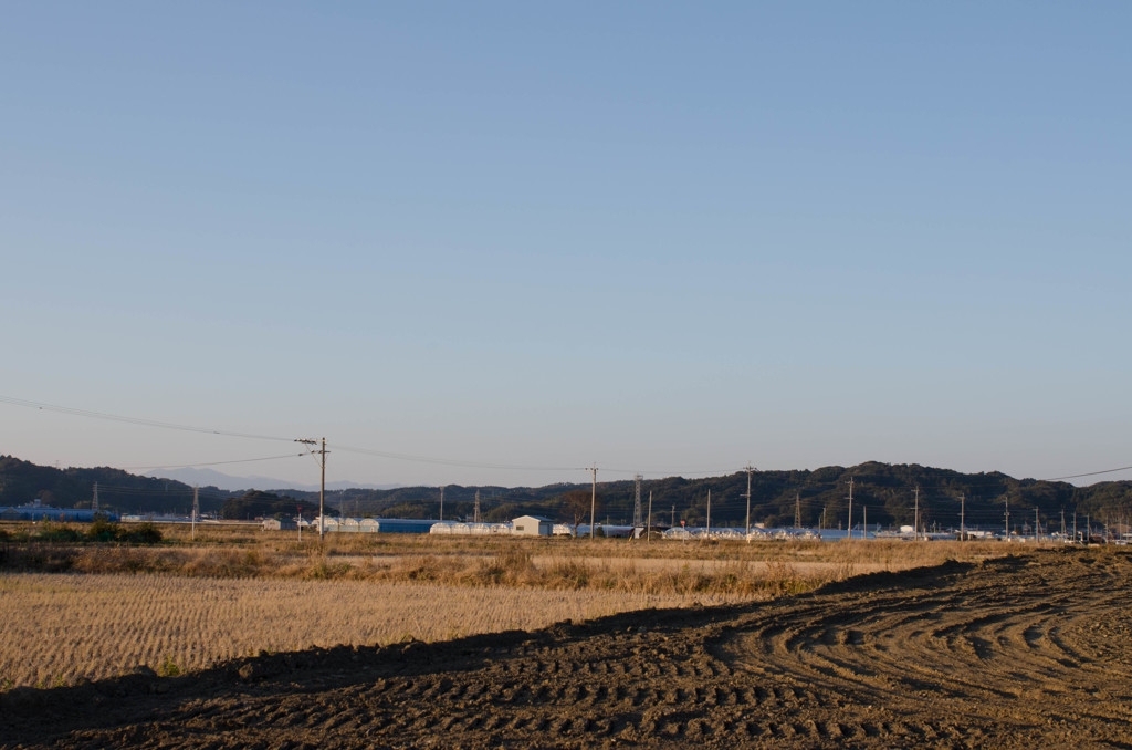 生まれ育った町