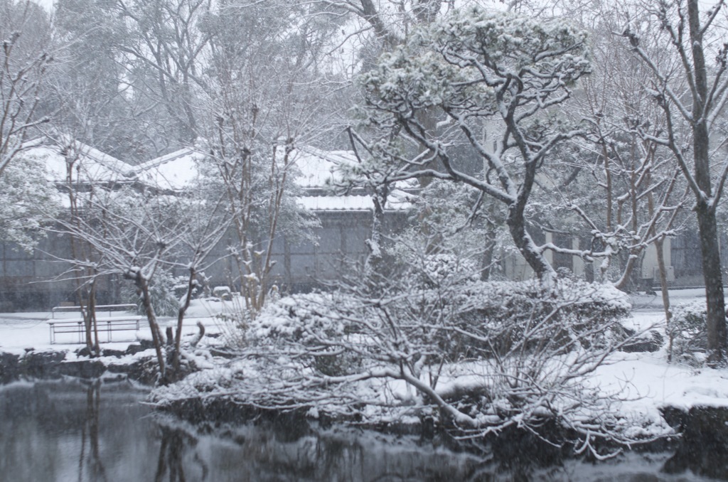 雪の庭園