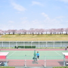 桜、テニス日和