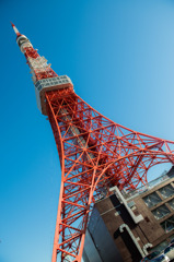 美しい鉄塔