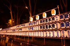 2016初詣@明治神宮