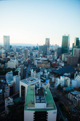 東京タワーにて