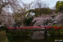 春だね~!