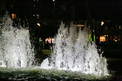 IMG_2122