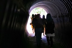 IMG_1662
