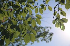 大蛇ケ池公園