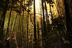 暖光