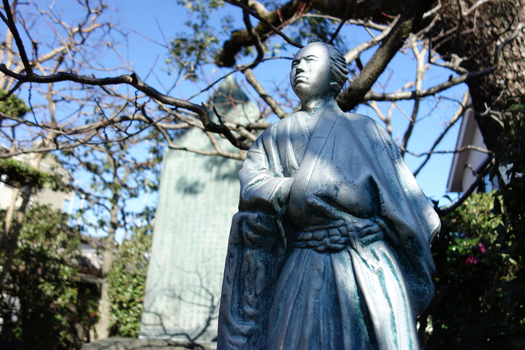 寺田屋の竜馬