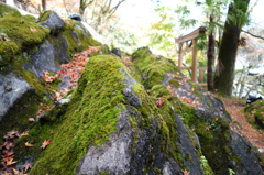 三井寺の岩