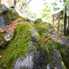 三井寺の岩