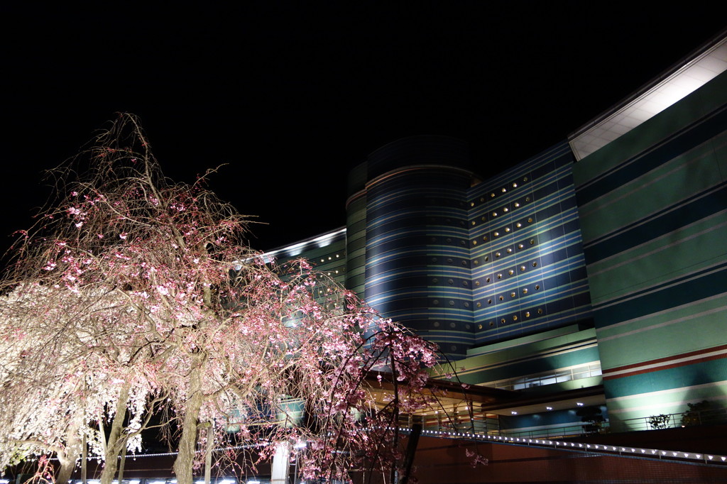 Biwako Hotel