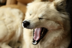  sleepy