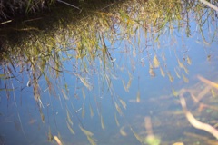 砥峰高原 水鏡