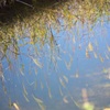砥峰高原 水鏡