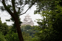 遠景の白鷺城