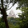 遠景の白鷺城