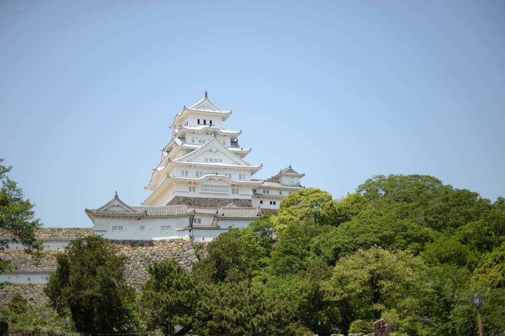 蒼天の白鷺
