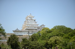 蒼天の白鷺