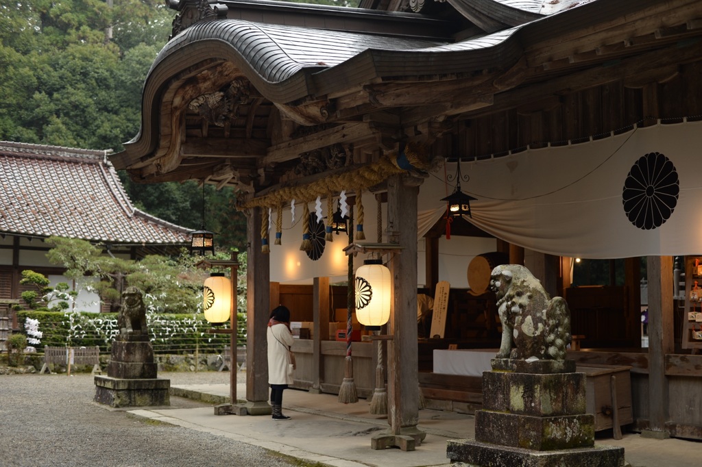 伊和神社 初詣