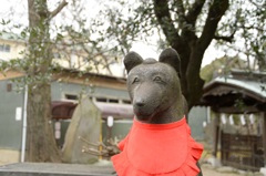 三囲神社 優しい狐