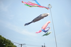 屋根より