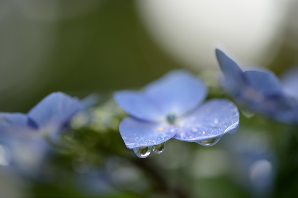 雨上がりの彩色