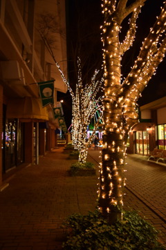 イルミネーション