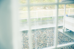 今日も雨