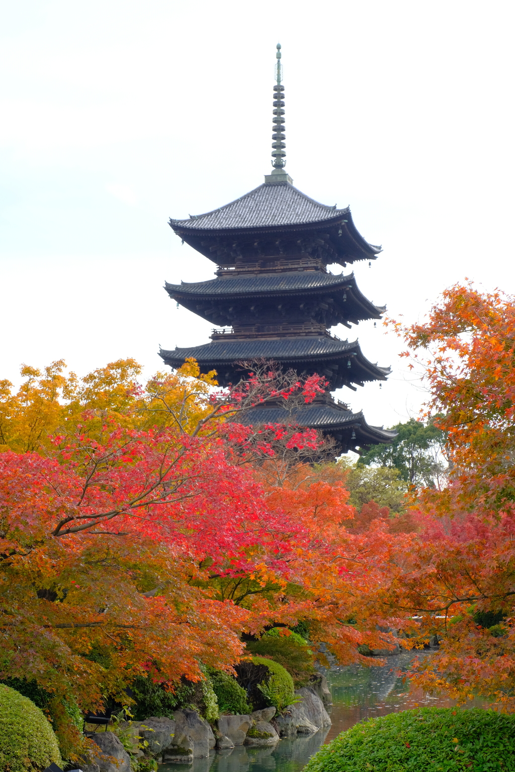 東寺1